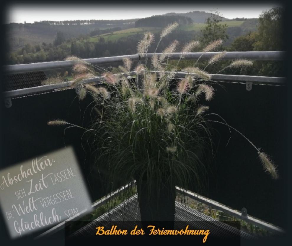 Waldglueck Familie Bruening Daire Bad Berleburg Dış mekan fotoğraf